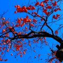 농협독산지점 이미지