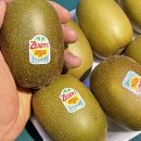 다름 과일 이미지