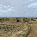 샌드비치 이미지