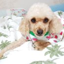 중마동물병원 이미지