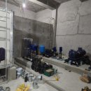 하단동1103 이미지