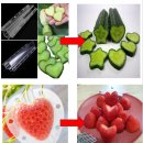 제니패션기능성보정속옷 | 중년보정속옷- 제니패션, 기능성속옷으로 자세를 바르게