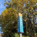 메이비포유 이미지