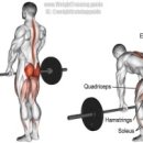 피트니스 마틴 이미지