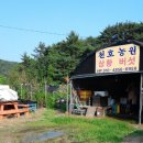 천호농원