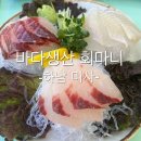 마니 - 중구 국채보상로 470 | 미사 횟집 바다 생산 회마니/가성비 회 정식 후기