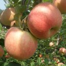 해도농장 이미지