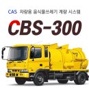 시스템 카스