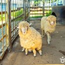 자연아놀자박물관 이미지
