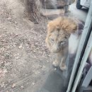 에버랜드 정문주차장 이미지