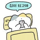 OWL(아울) - 서구 | OWL(아울)