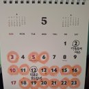 26년 5월의 비올라 연습 이미지