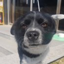 염치읍 아산로 이미지