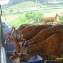시골농장 이미지