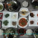 바다의 밥상