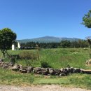 아침목장 이미지