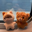 리본호텔목욕장 | 누가 대전이 노잼도시래? 나 홀로 떠난 대전여행