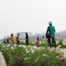 앞산 맛둘레길 경관 이미지