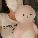 가정동 왁싱 모블링 호주 라이콘 저온 왁스 브라질리언 임산부 웨딩 바디프로필 관리 추천 찐 후기