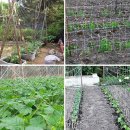 와이엠농장 이미지