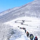 곰배령 - 춘천시 | 곰배령