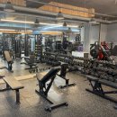 머슬팩토리 하단점 이미지