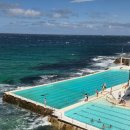 뉴힐링하우스 | [시드니 여행] 오페라 하우스에서 본다이 비치 가는 법, 직접 페리로 가본 후기