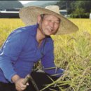 만산농장 이미지