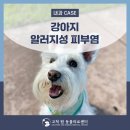 고척원동물의료센터 이미지