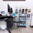 송도닥터스의원 이미지