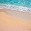 중앙오토 이미지