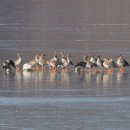 주남저수지 이미지