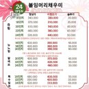리안네트웍스