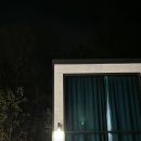 고은집펜션독채 네이버블로그