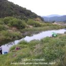 조마면사무소 이미지