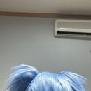 두림가발 이미지