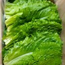 로메인 이미지