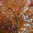 웃음코칭 레크리에이션지도사 이미지