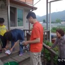 단양유기농원 이미지