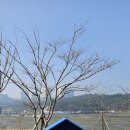 대부도관광안내소 이미지