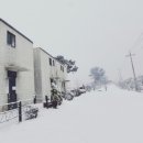 엘도라풀빌라펜션 이미지