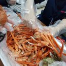 힐링동물의료센터 네이버블로그