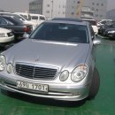 드림카프라자 이미지