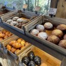 호텔소하2 이미지