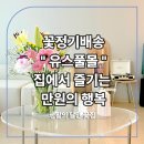 만원몰 | [공지] 유스풀몰 꽃 정기구독 후기 _ 집에서 만나는 만원의 행복