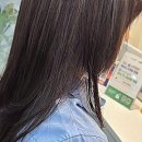 단골헤어샵