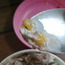 배스킨라빈스 여수 죽림점