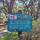 지천소공원 이미지