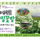 메밀꽃 화장실 이미지