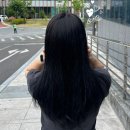 빈트헤어 - 서귀포시 | 빈트헤어